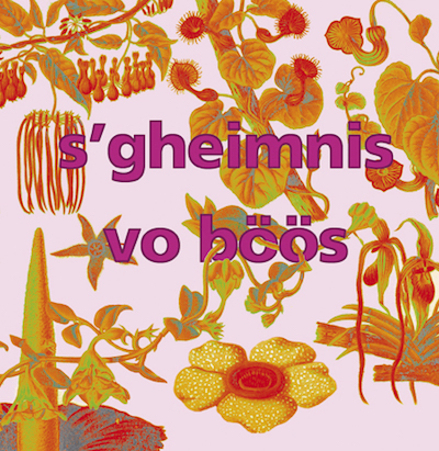 Kinderstück «s Gheimnis vo Böös» Volk & Bloch 